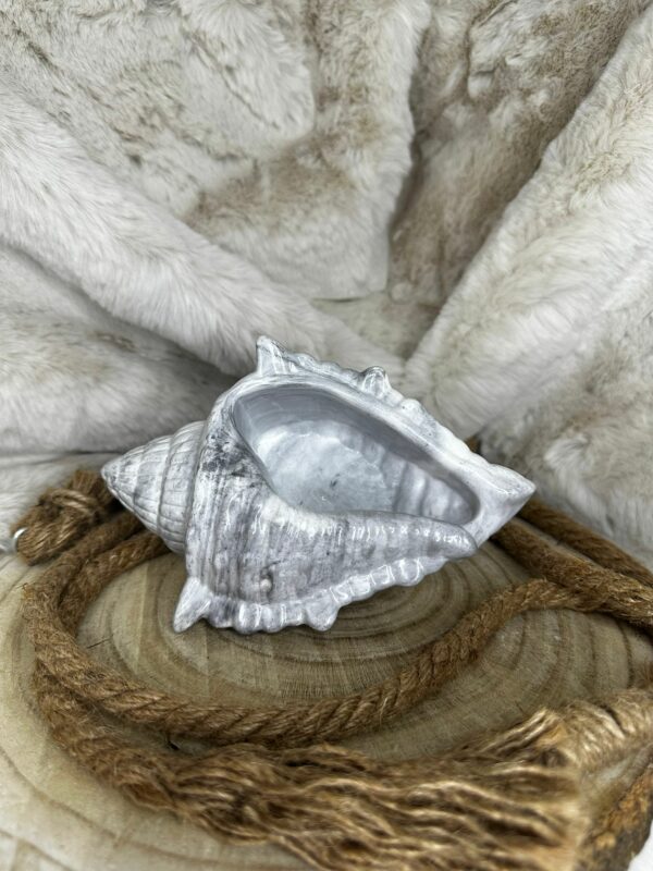 Acua - Imagen 2