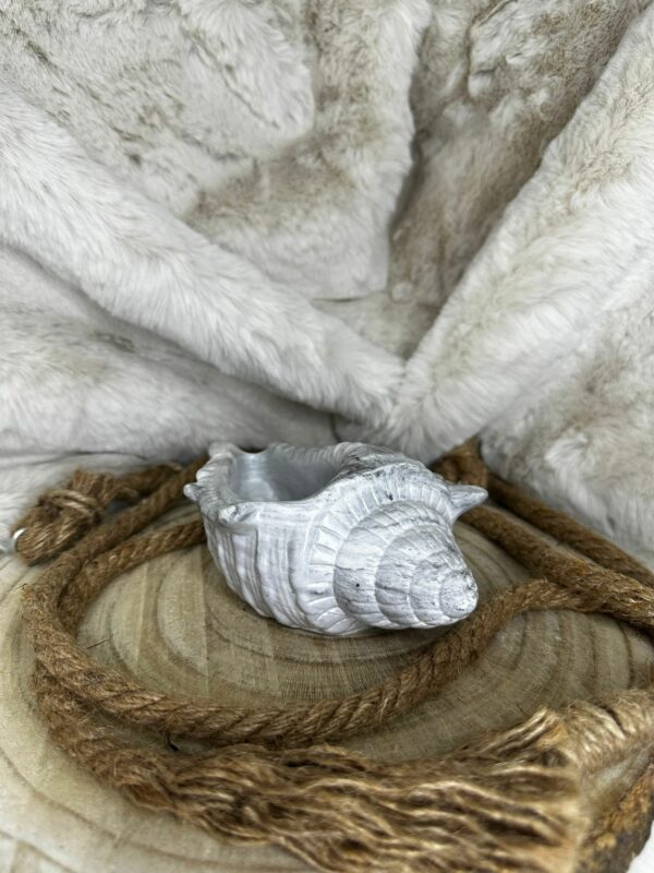 Acua - Imagen 5