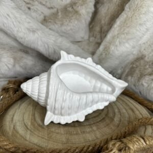Acua