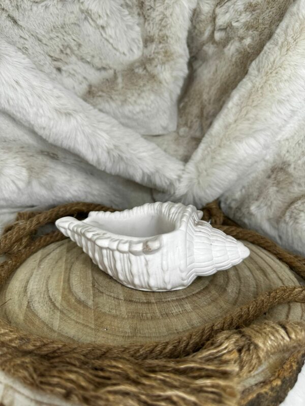 Acua - Imagen 6