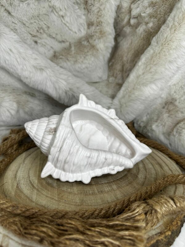 Acua - Imagen 3