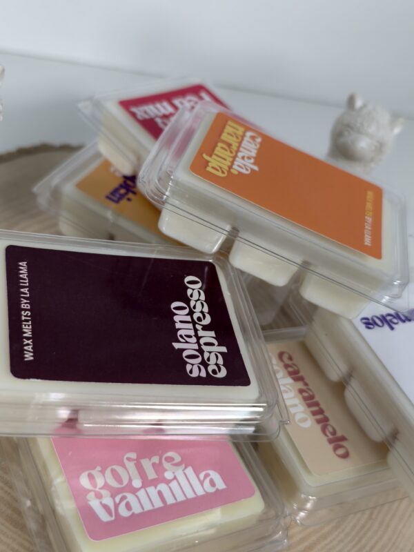 Wax Melt Personalizable - Imagen 2