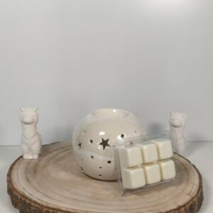 Quemador Noche Estrellada y Wax Melt