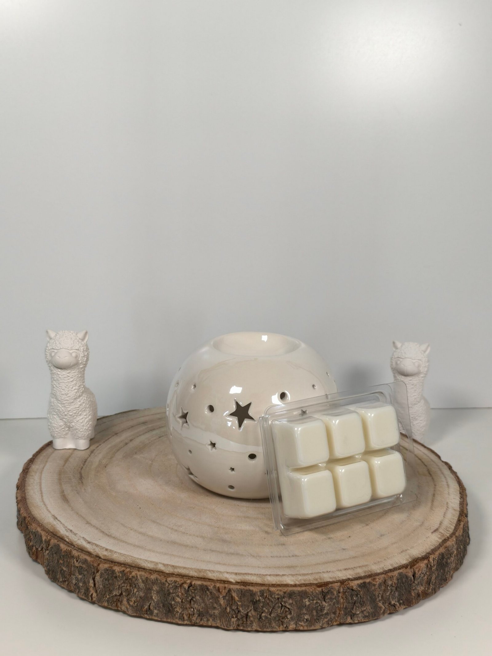 Quemador Noche Estrellada y Wax Melt