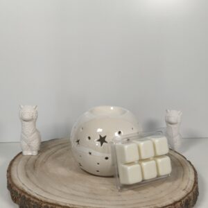 Quemador Noche Estrellada y Wax Melt