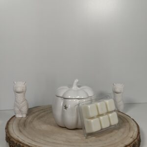 Quemador Calabaza y Wax Melt