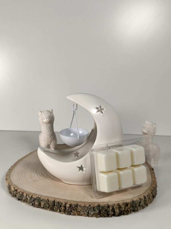 Quemador Moon y Wax Melt