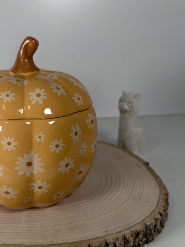 Quemador Groovy Pumpkin - Imagen 2