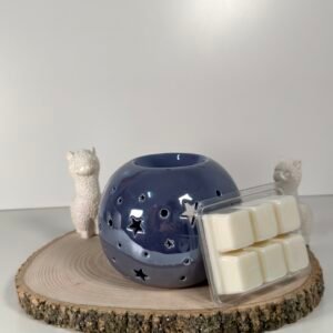Quemador Noche Estrellada Azul y Wax Melt