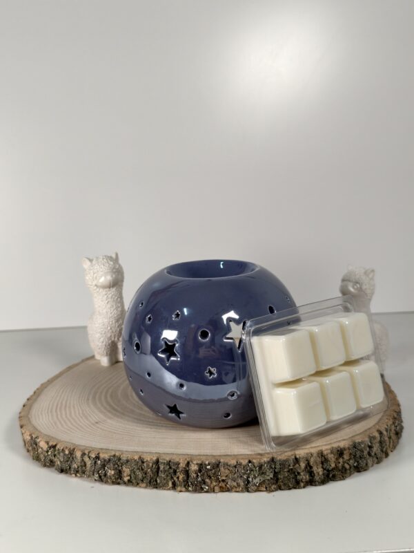 Quemador Noche Estrellada Azul y Wax Melt