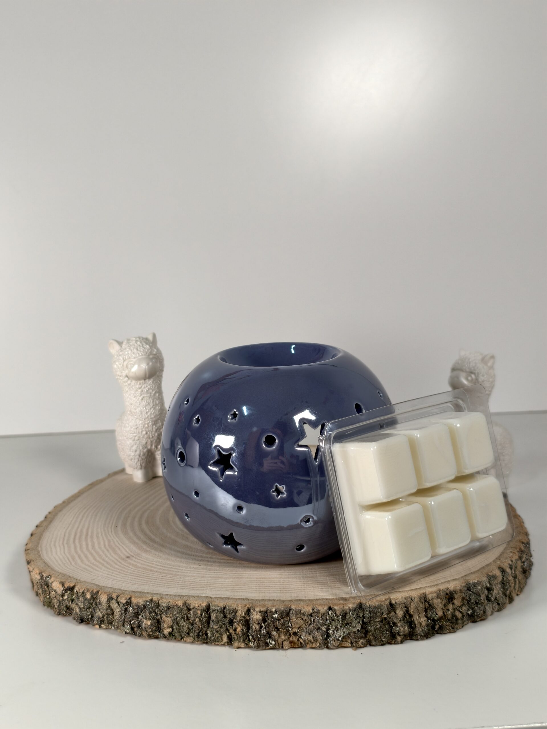 Quemador Noche Estrellada Azul y Wax Melt