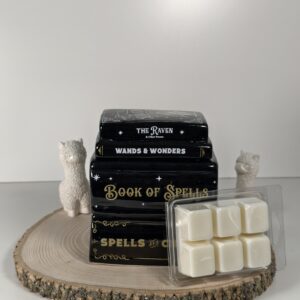 Quemador Libro de Hechizos y Wax Melt