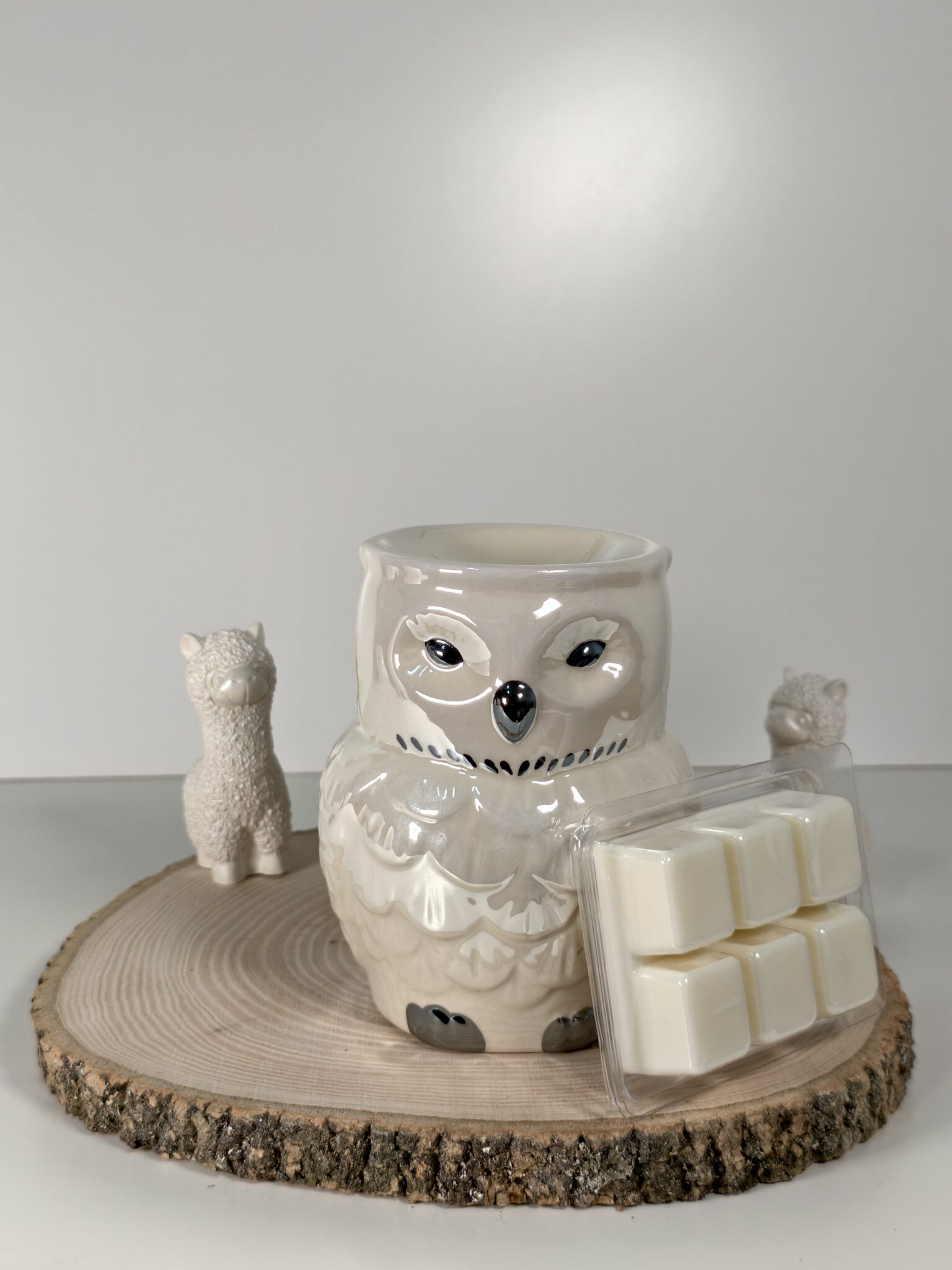 Quemador Hedwig y Wax Melt