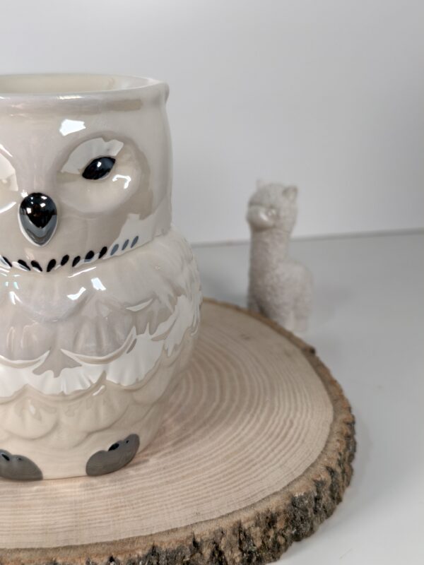 Quemador Hedwig - Imagen 2