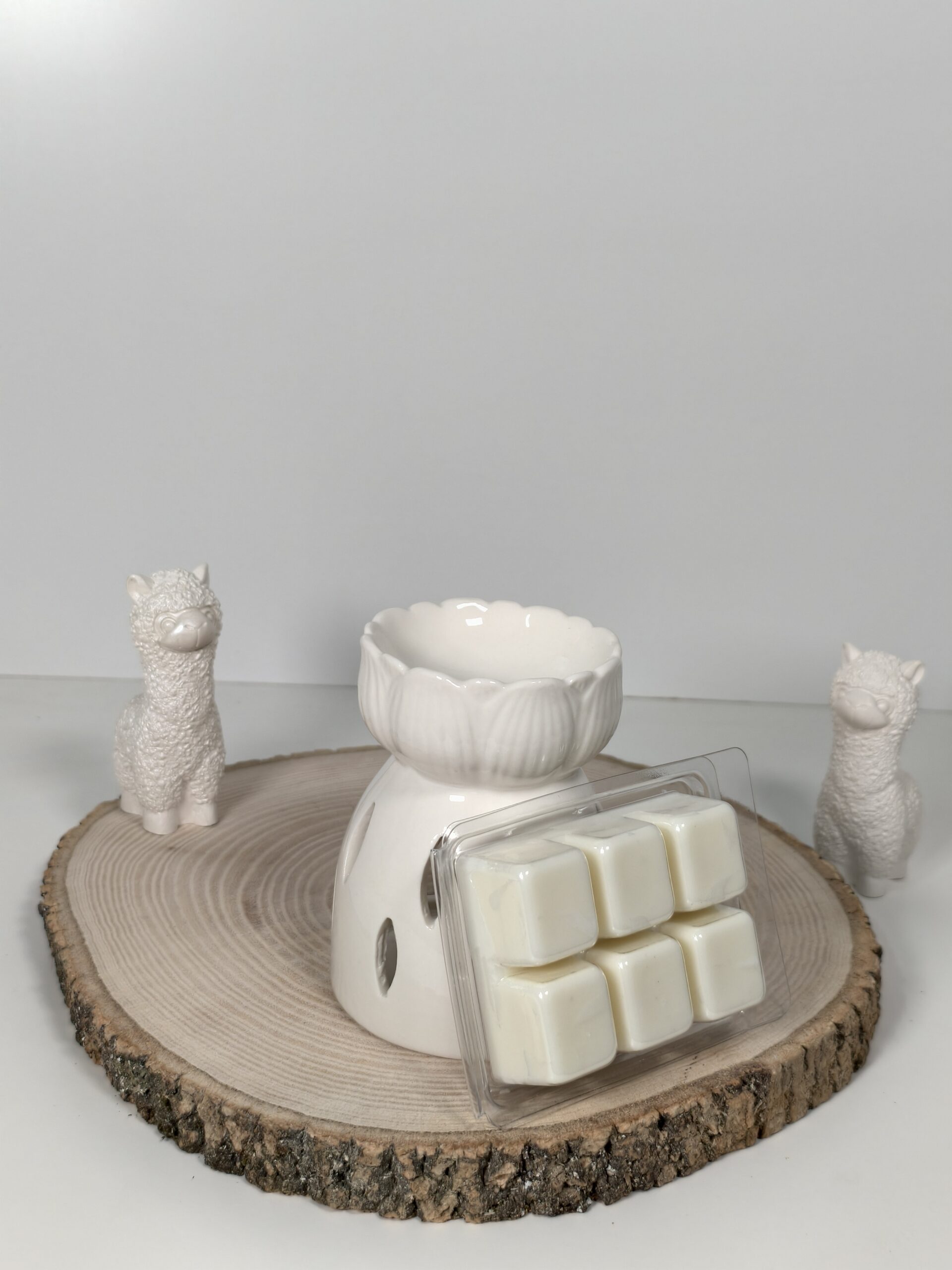 Quemador Essenza y Wax Melt