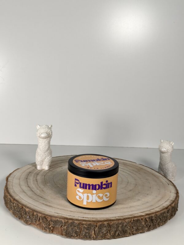 Pumpkin Spice - Imagen 2