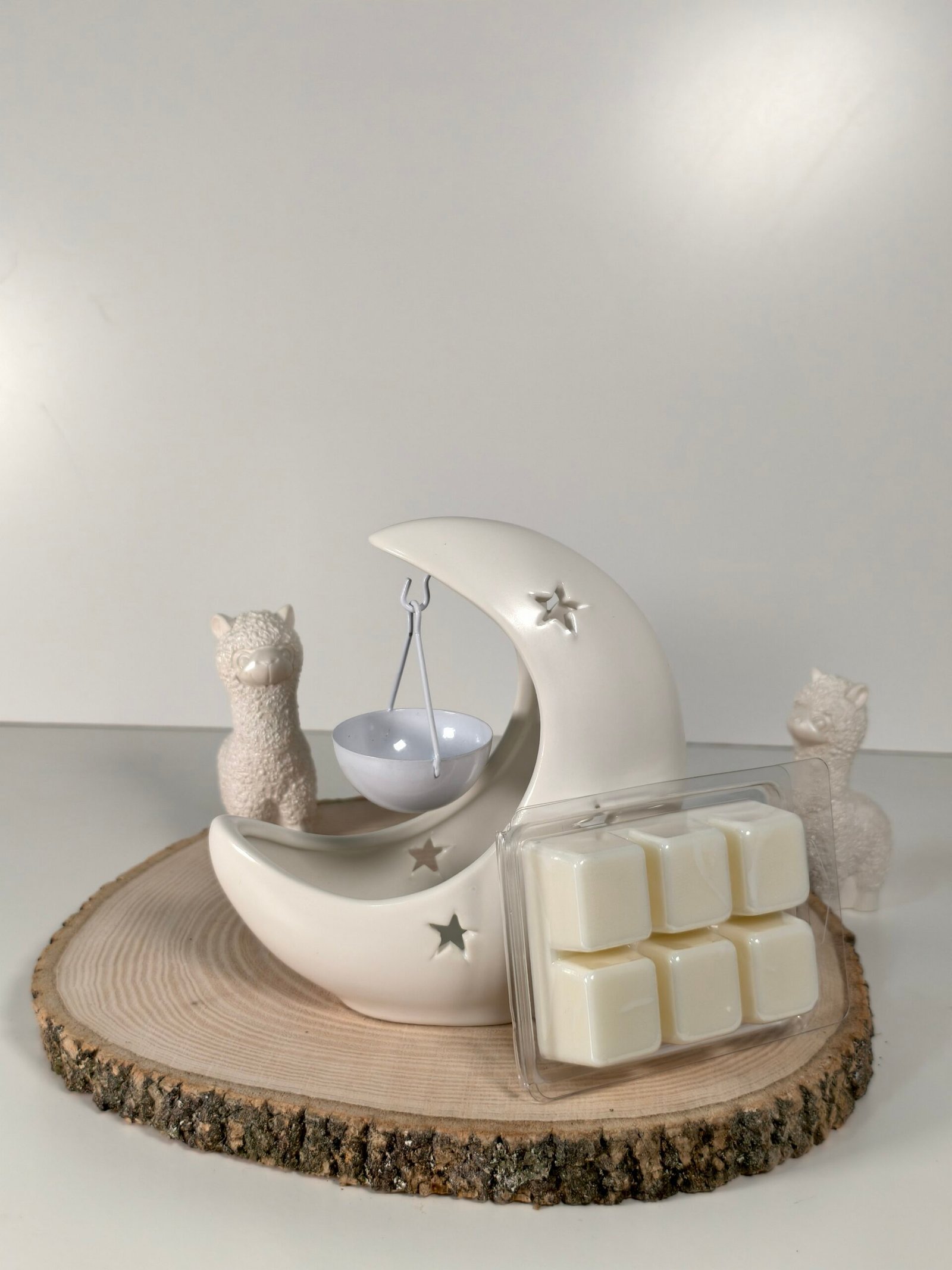 Quemador Luna y Wax Melt