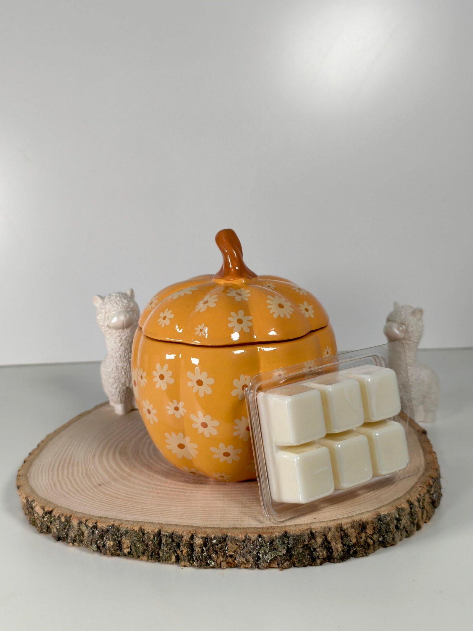 Quemador Calabaza Floral y Wax Melt