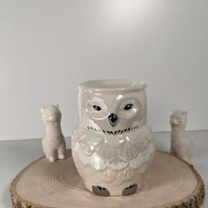 Quemador Hedwig Harry Potter