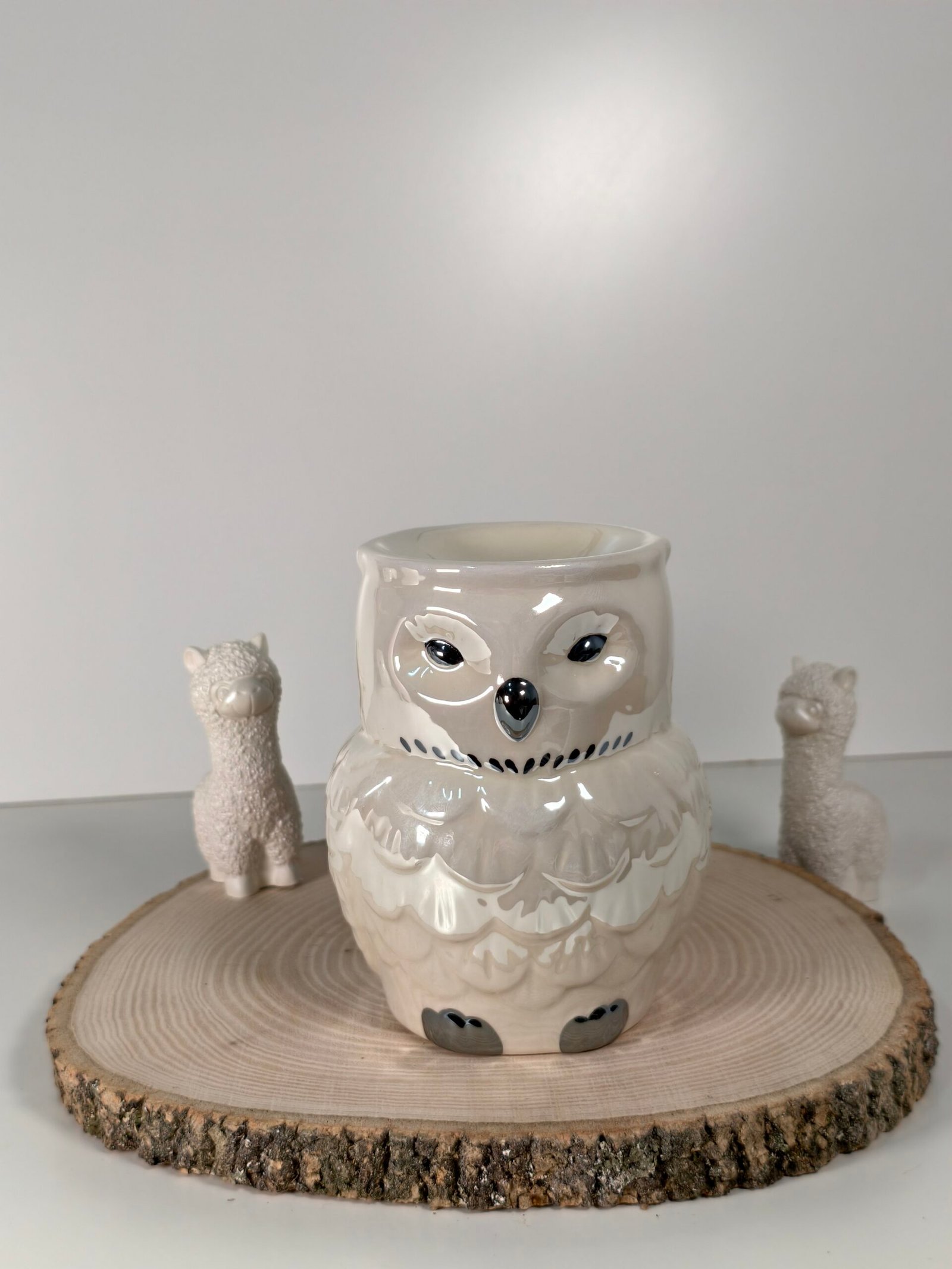 Quemador Hedwig Harry Potter