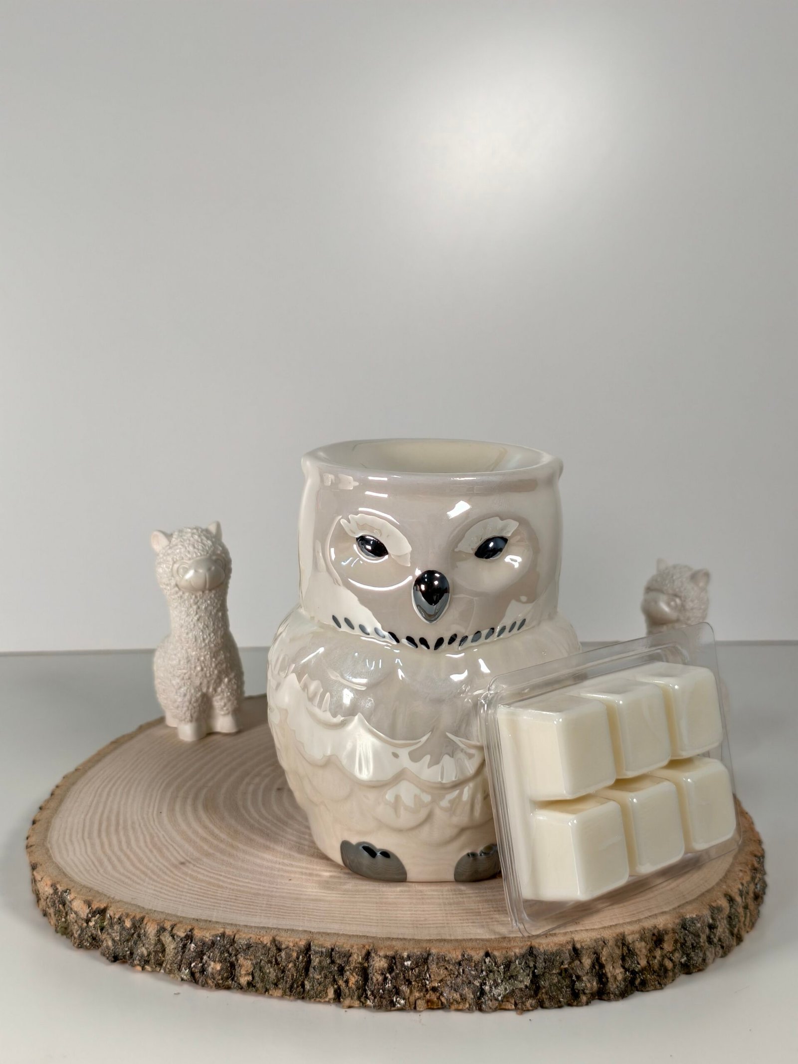 Quemador Hedwig Harry Potter y Wax Melt