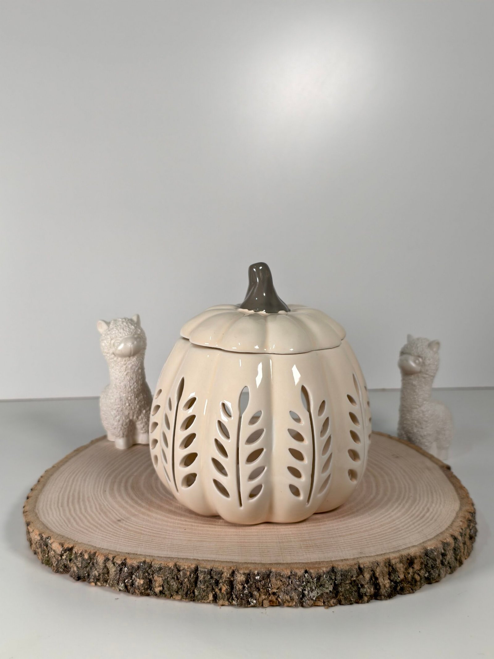 Quemador Calabaza Beige