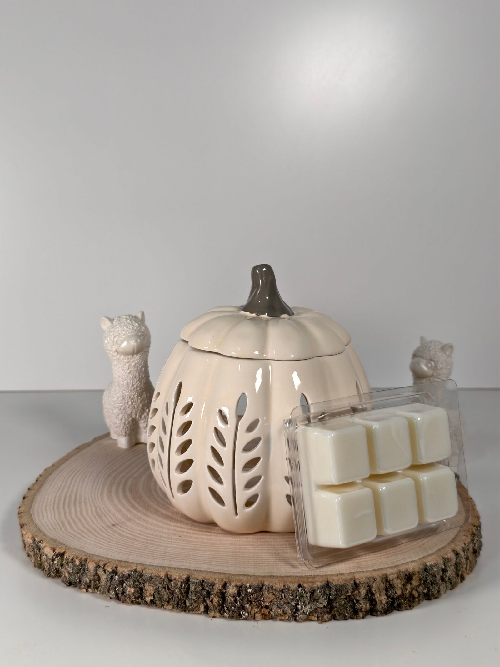 Quemador Calabaza Beige y Wax Melt