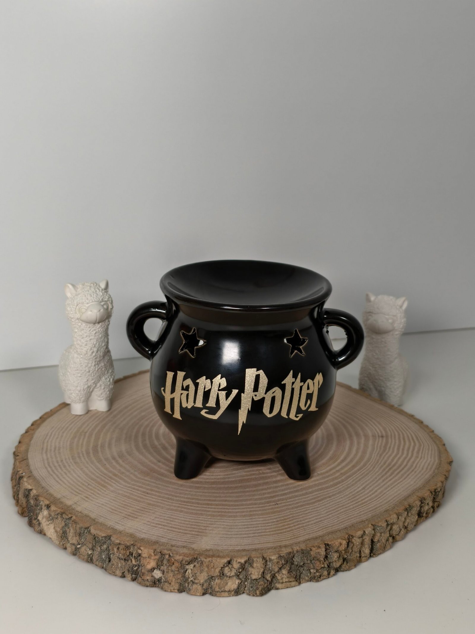 Quemador Caldero Harry Potter