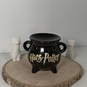 Quemador Caldero Harry Potter