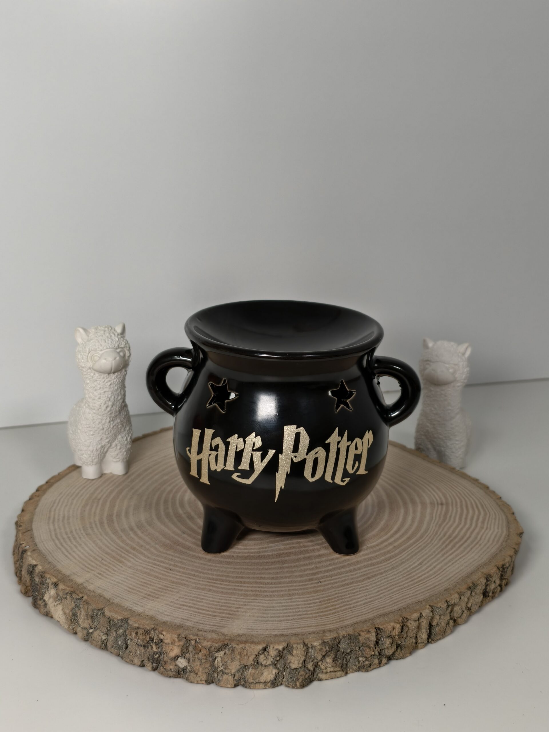 Quemador Caldero Harry Potter
