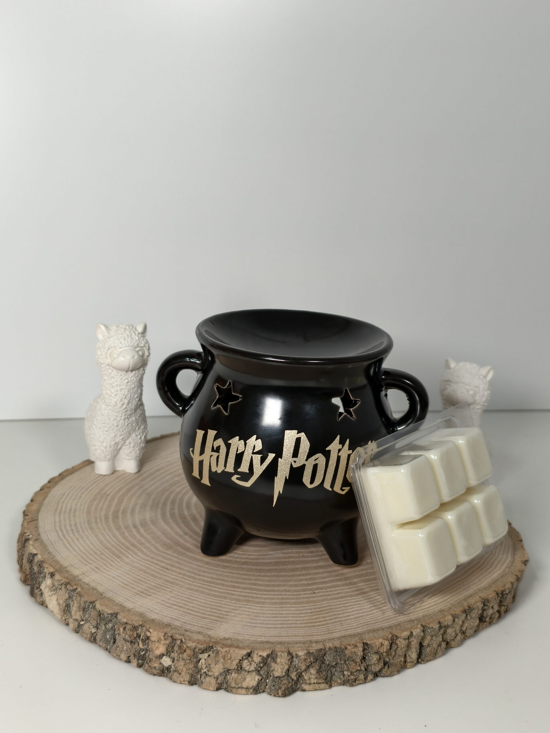 Quemador Caldero Harry Potter y Wax Melt