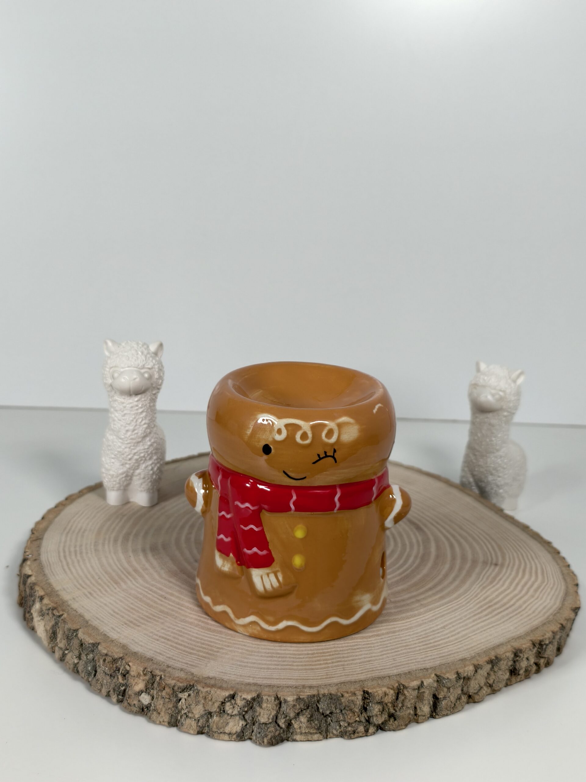 Quemador Galleta de Navidad