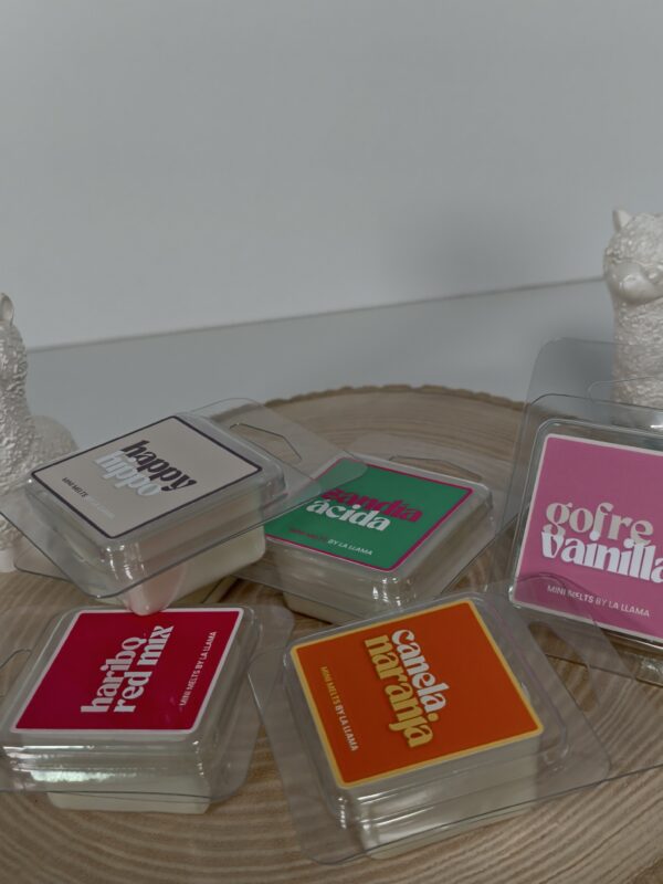 Mini Melt Personalizable - Imagen 2