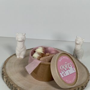 Wax Melt Formas Gofre Vainilla