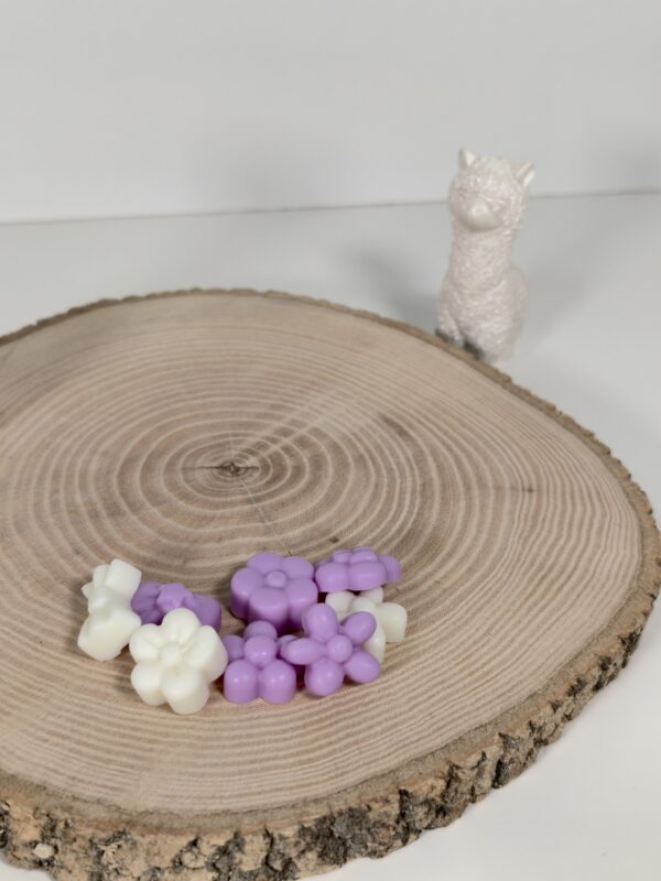 Wax Melt Formas Caramelo de Violetas - Imagen 3