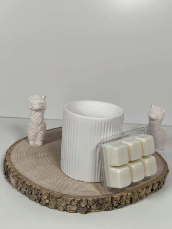 Quemador Zen y Wax Melt