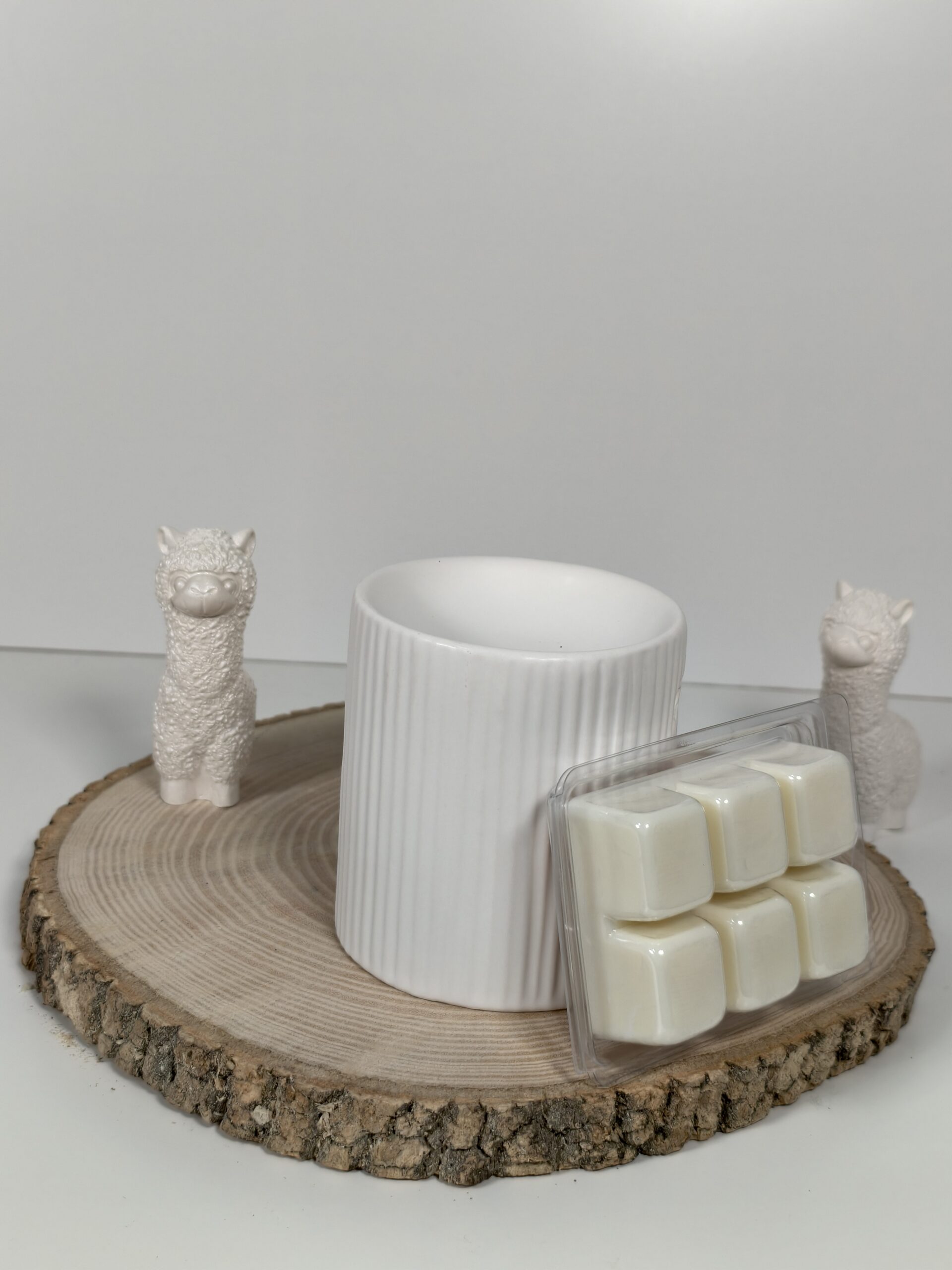 Quemador Zen y Wax Melt