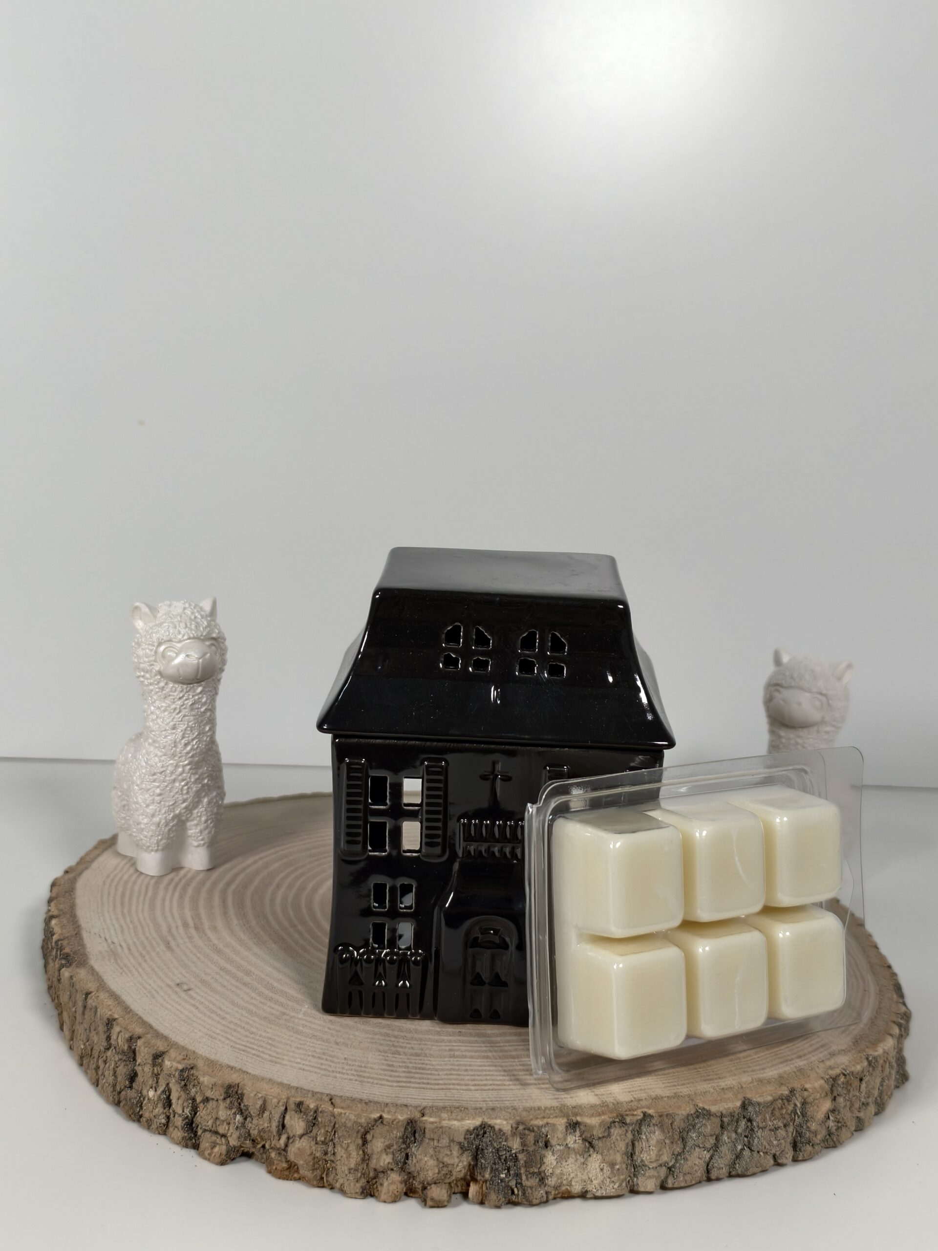 Quemador Casa Encantada y Wax Melt