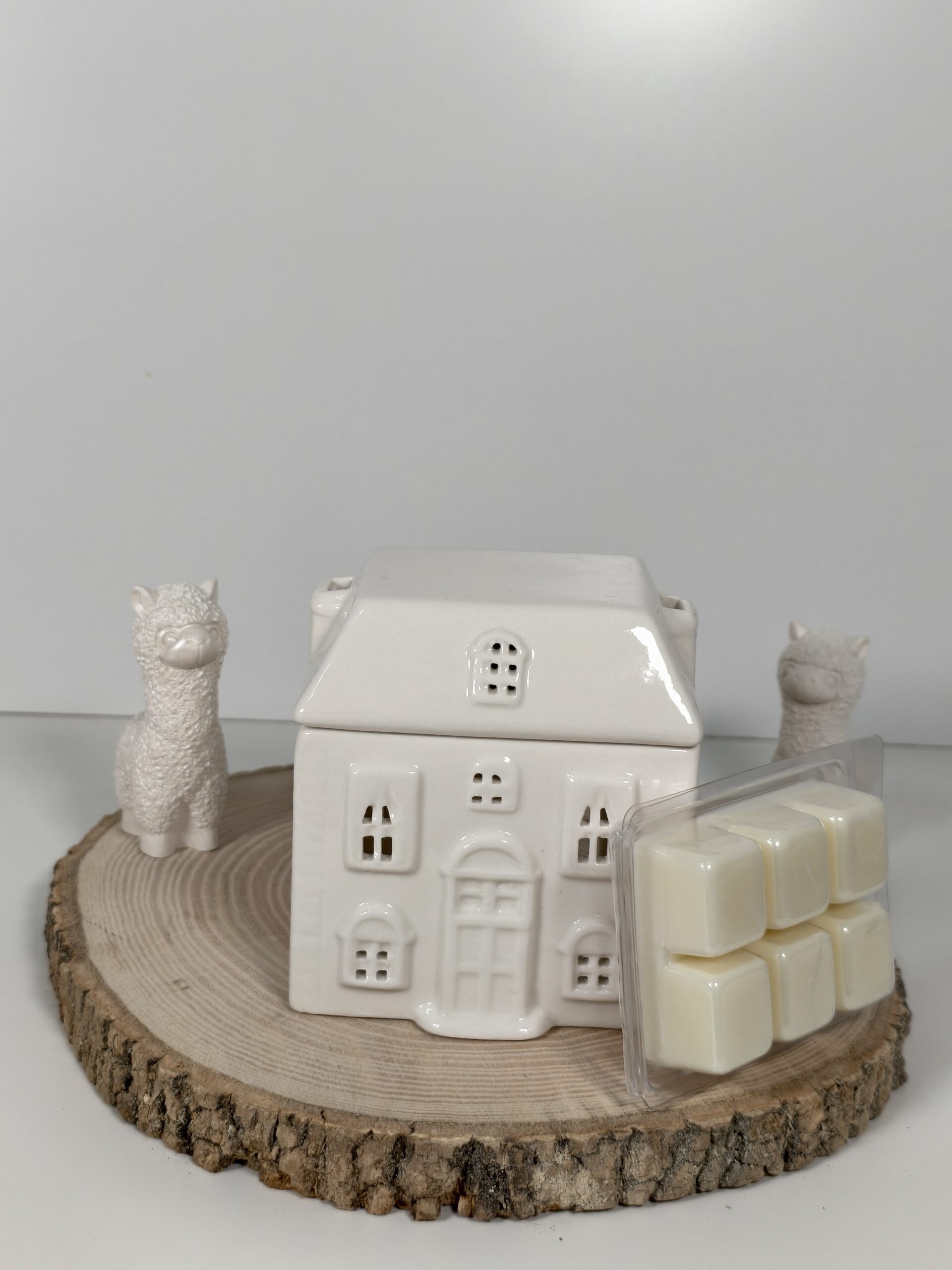 Quemador Casita Blanca y Wax Melt