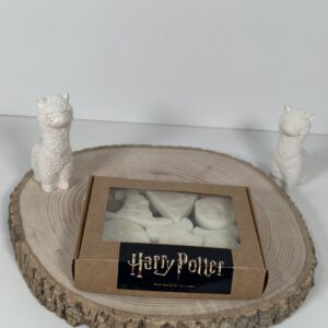 Wax Melt Formas Harry Potter