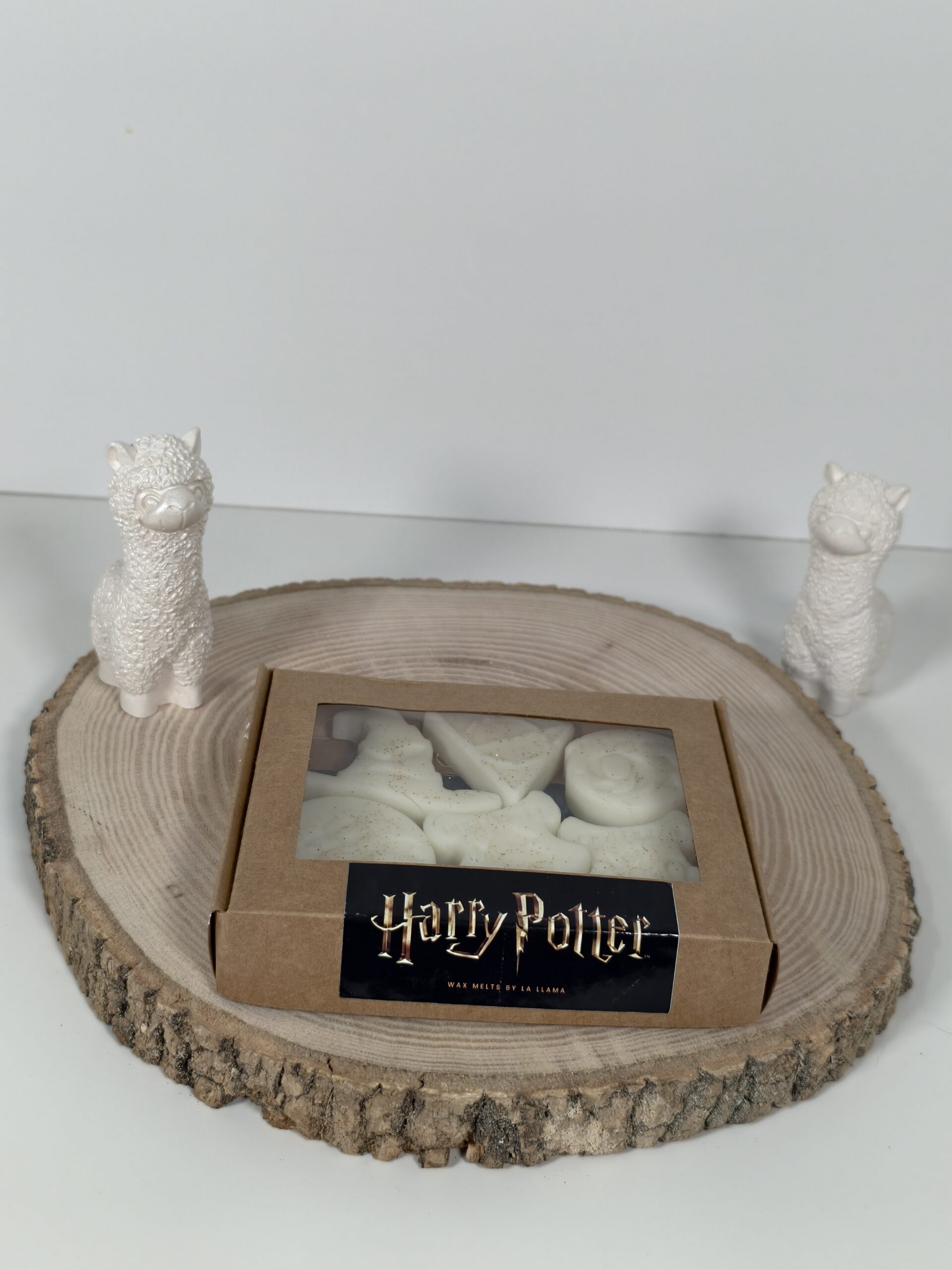 Wax Melt Formas Harry Potter