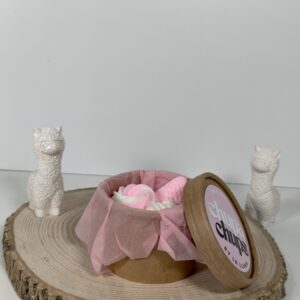 Wax Melt Formas Chupa Chups