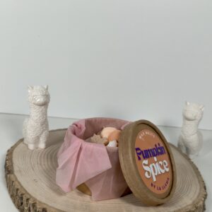 Wax Melt Formas Pumpkin Spice