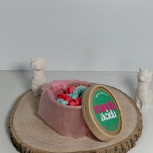 Wax Melt Formas Sandía