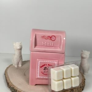 Quemador Buzón de San Valentín y Wax Melt