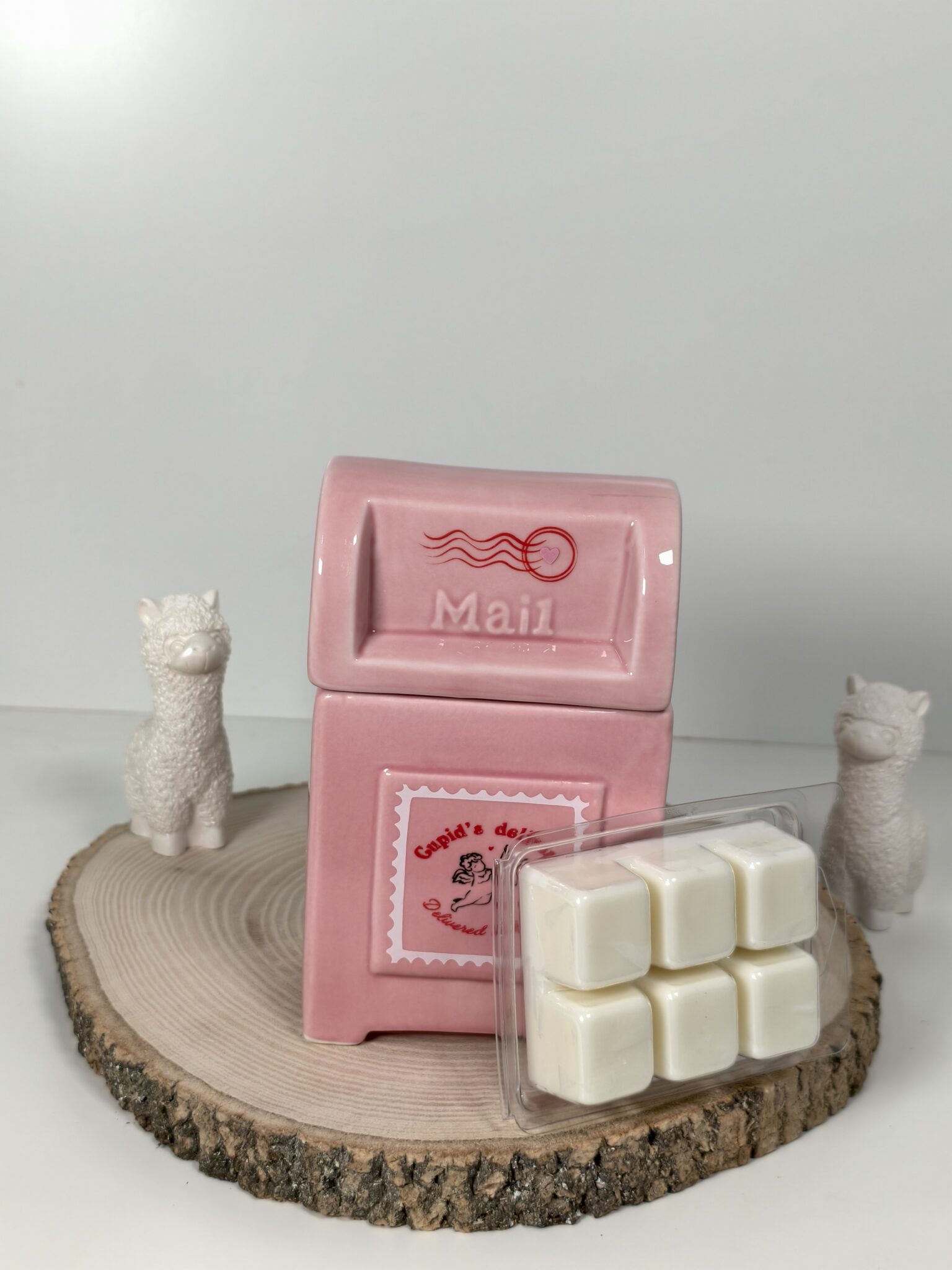 Quemador Buzón de San Valentín y Wax Melt