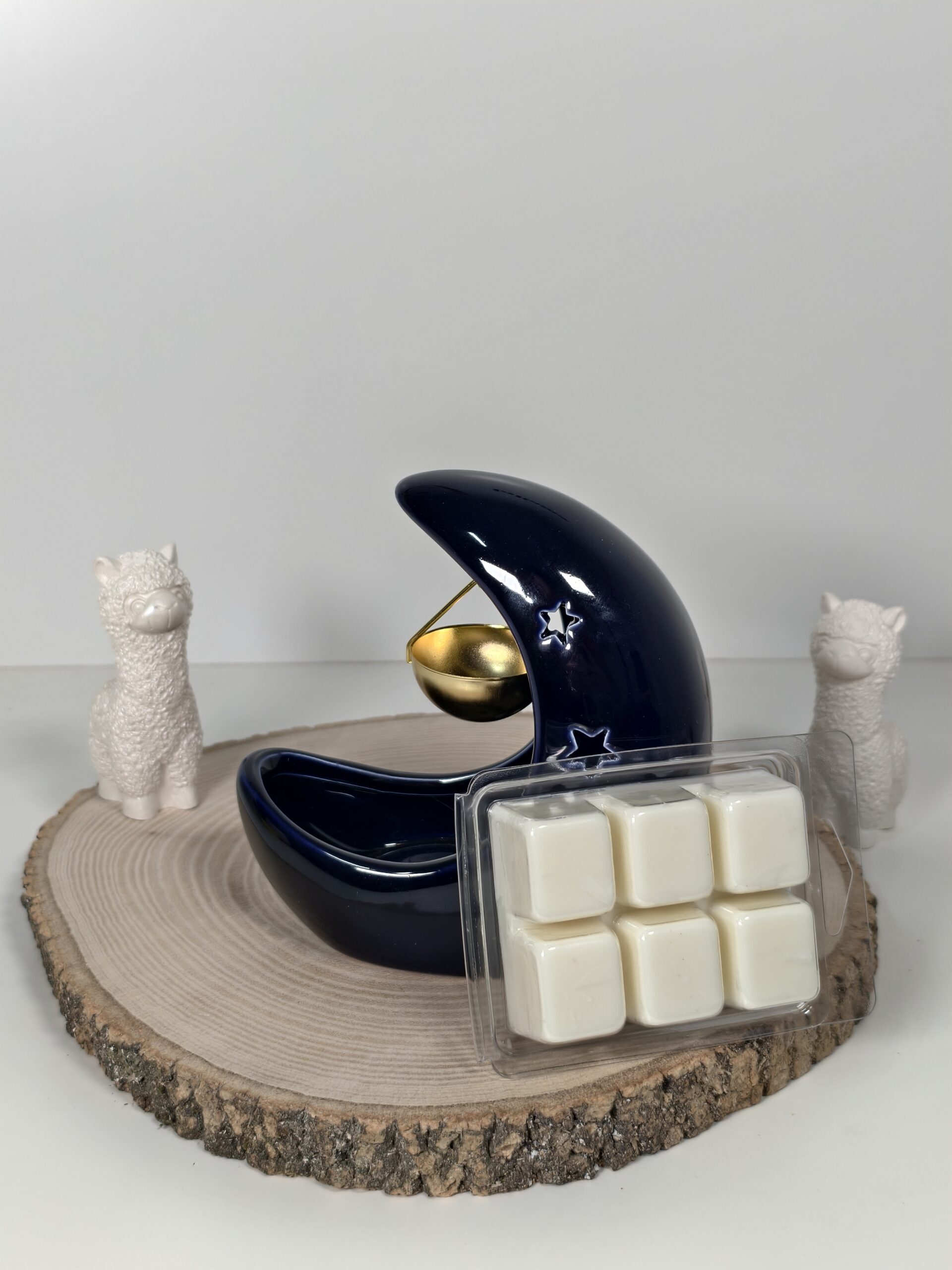 Quemador Luna Azul y Wax Melt