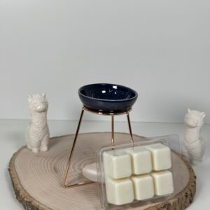 Quemador Galaxia y Wax Melt