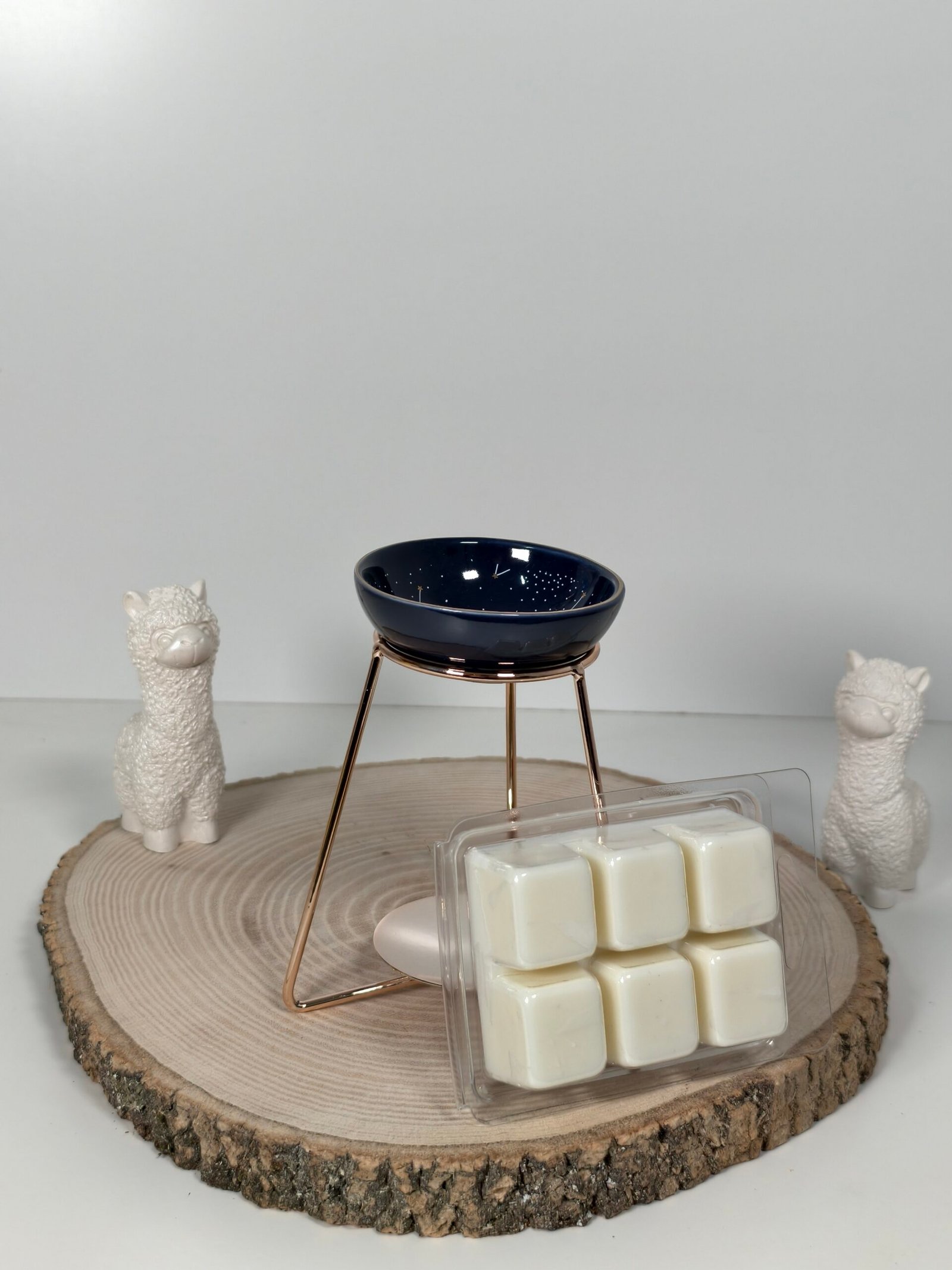 Quemador Galaxia y Wax Melt