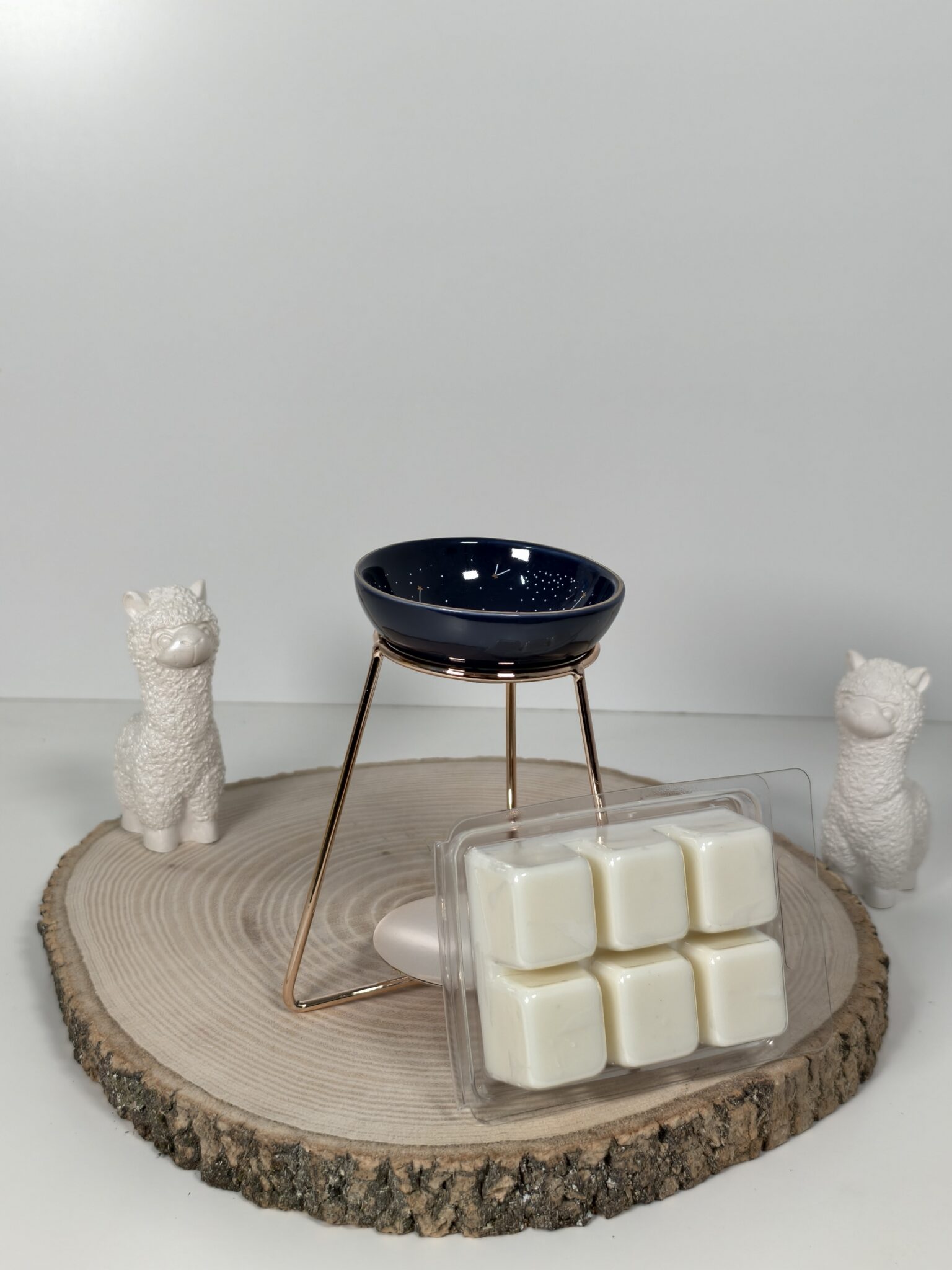 Quemador Galaxia y Wax Melt